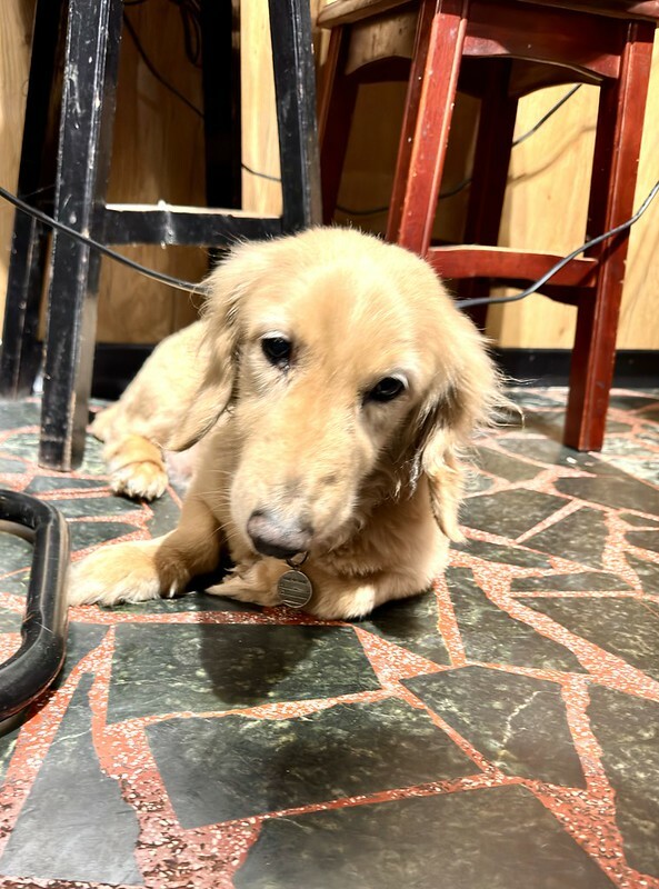 桃園市大園區台灣｜大園｜三塊厝懷舊美食餐館，不起眼的小店，有美味的客家菜跟滿滿的人情味。（大園美食）