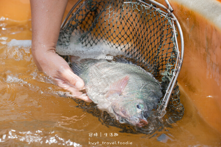 美濃餐廳推薦_里長台灣鯛美濃旗艦店，全台唯一！桌邊爆炒好客鍋