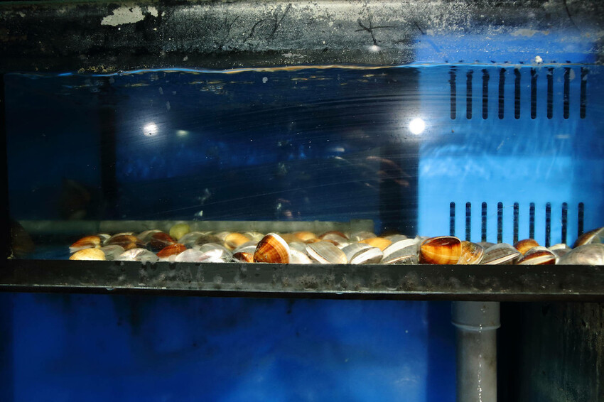 台北日式無菜單料理推薦,微風建一食堂八品精緻餐點,比臉大的爆 台北日式無菜單料理推薦,微風建一食堂八品精緻餐點,比臉大的爆