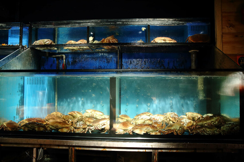 台北日式無菜單料理推薦,微風建一食堂八品精緻餐點,比臉大的爆 台北日式無菜單料理推薦,微風建一食堂八品精緻餐點,比臉大的爆