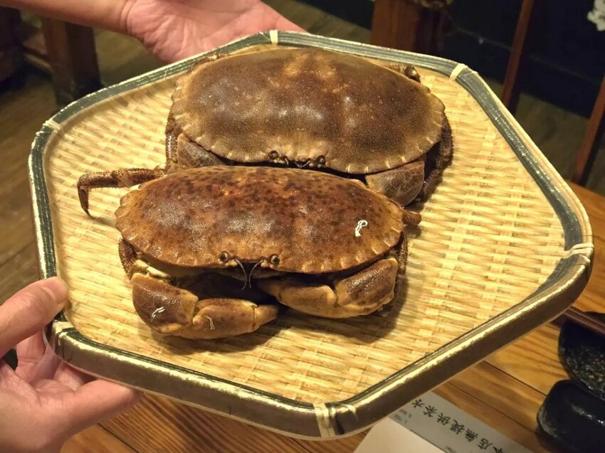 建一食堂｜台北超高CP無菜單料理！高級海鮮直送！1380元就可以吃到！台北無菜單推薦、台北日式推薦、台北居酒屋推薦 - 佛系旅遊筆記