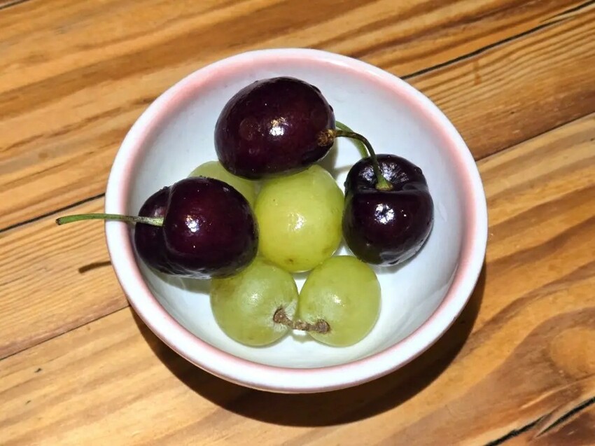 建一食堂｜台北超高CP無菜單料理！高級海鮮直送！1380元就可以吃到！台北無菜單推薦、台北日式推薦、台北居酒屋推薦 - 佛系旅遊筆記