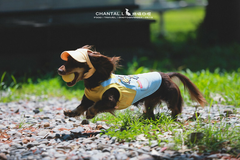 1J6A1493-2拷貝2 拷貝 1J6A1493-2拷貝2 拷貝