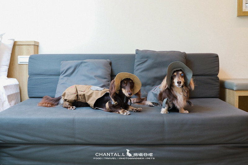 1J6A0852-2拷貝2 拷貝 1J6A0852-2拷貝2 拷貝