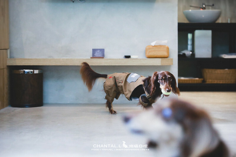 1J6A0956-2拷貝 拷貝2 拷貝 1J6A0956-2拷貝 拷貝2 拷貝