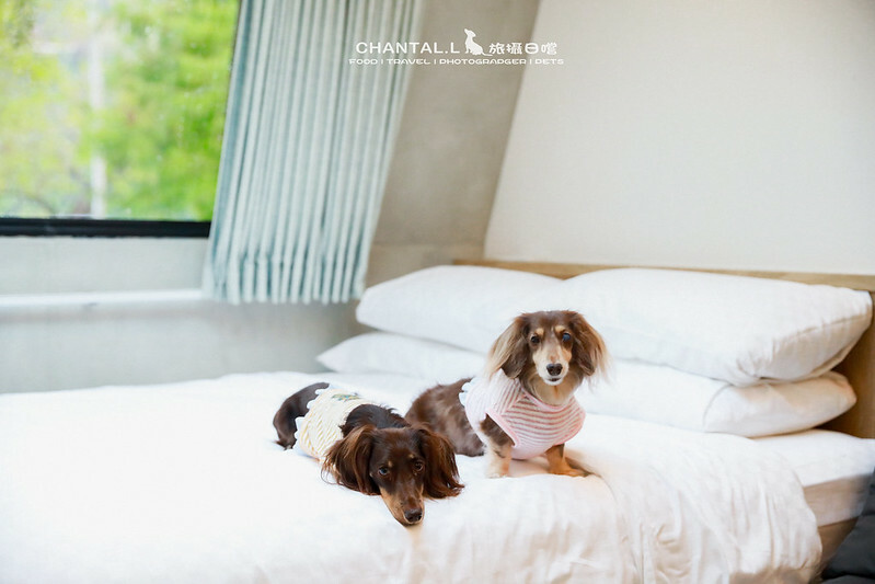 1J6A1112-2拷貝2 拷貝 1J6A1112-2拷貝2 拷貝