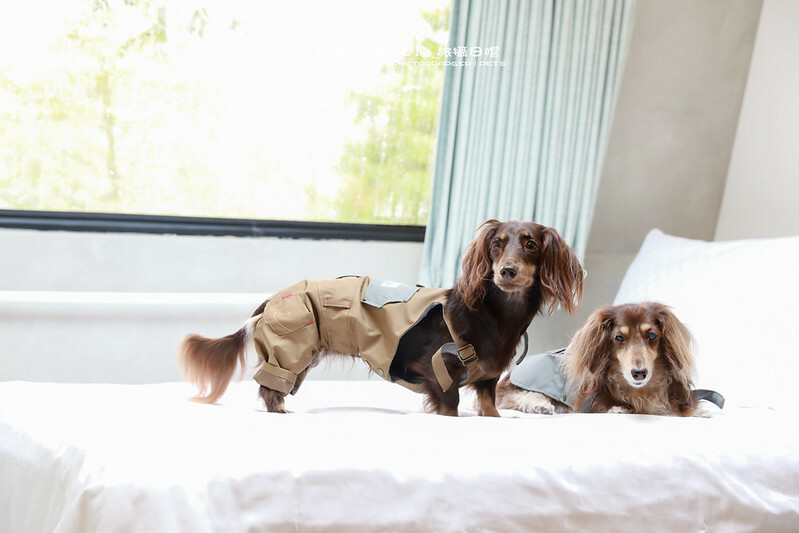 1J6A0866-3拷貝2 拷貝 1J6A0866-3拷貝2 拷貝