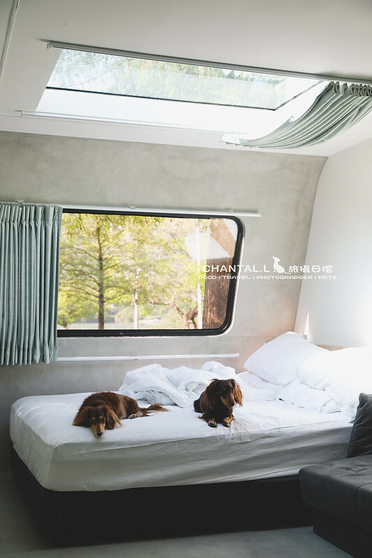 1J6A1329-2拷貝2 拷貝 1J6A1329-2拷貝2 拷貝