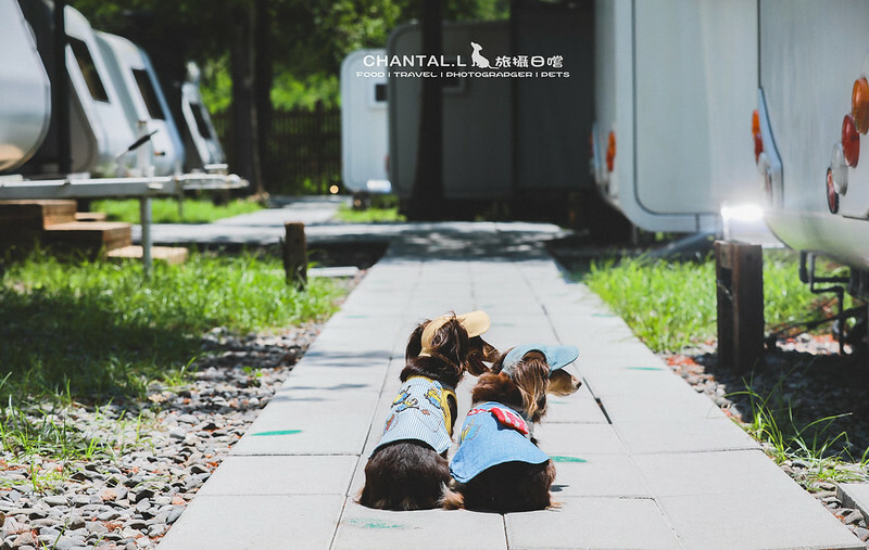 1J6A1449-2拷貝2 拷貝 1J6A1449-2拷貝2 拷貝