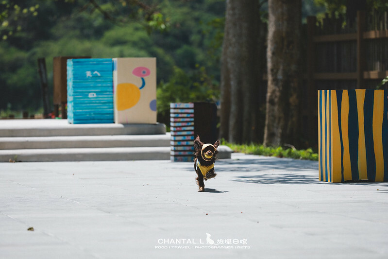 1J6A1483-2拷貝 拷貝2 拷貝 1J6A1483-2拷貝 拷貝2 拷貝