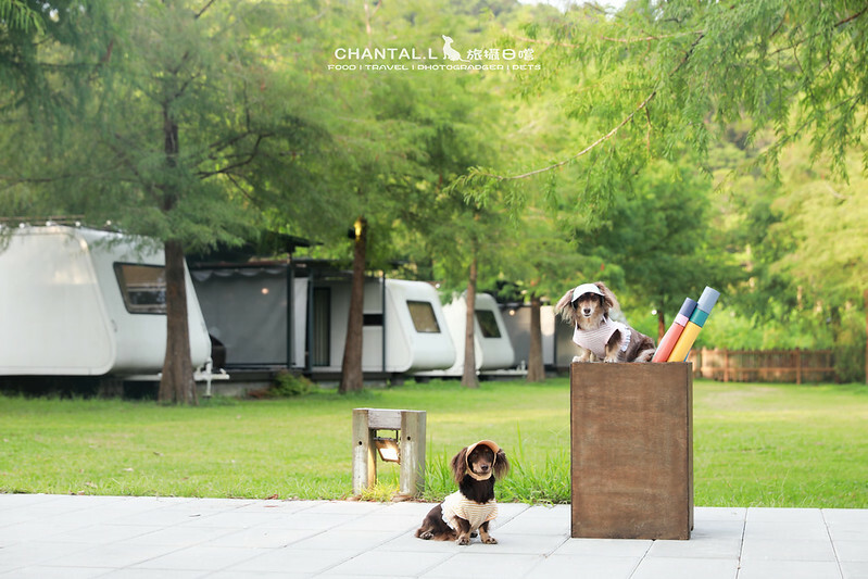 1J6A1147-2拷貝2 拷貝 1J6A1147-2拷貝2 拷貝