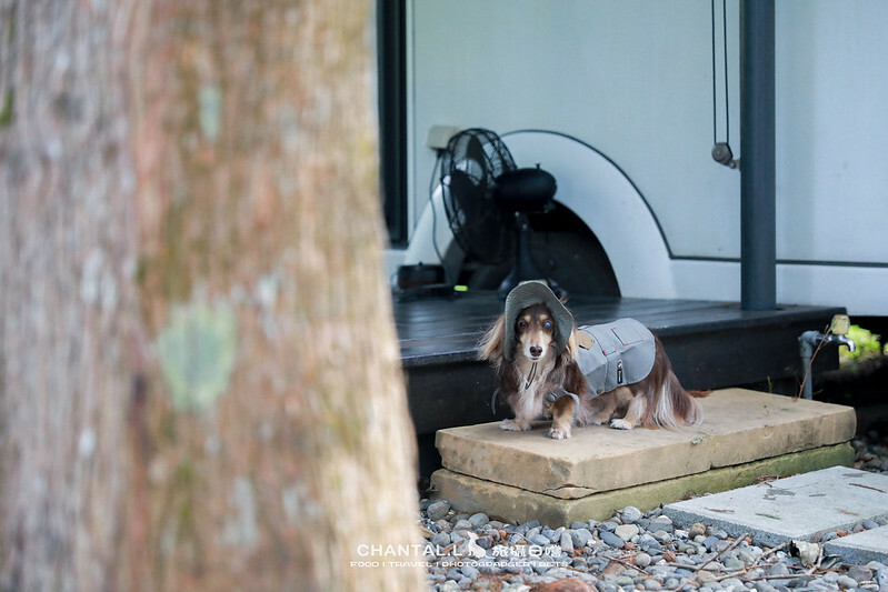 1J6A1013-2拷貝2 拷貝 1J6A1013-2拷貝2 拷貝