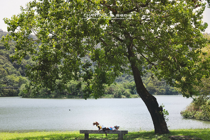 1J6A1541-2拷貝2-2 拷貝2 拷貝 1J6A1541-2拷貝2-2 拷貝2 拷貝