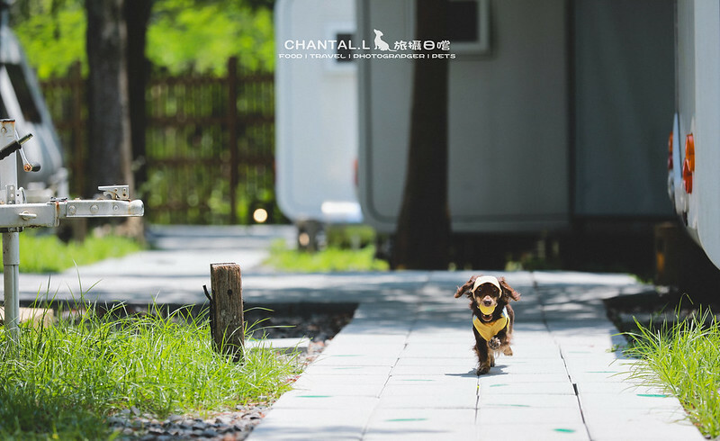 1J6A1515-2拷貝 拷貝2 拷貝 1J6A1515-2拷貝 拷貝2 拷貝