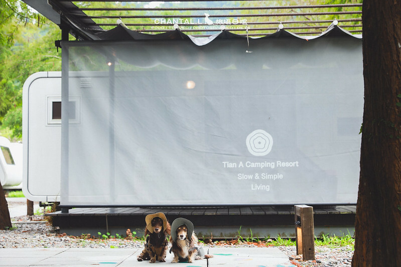 1J6A0832-2拷貝2 拷貝 1J6A0832-2拷貝2 拷貝