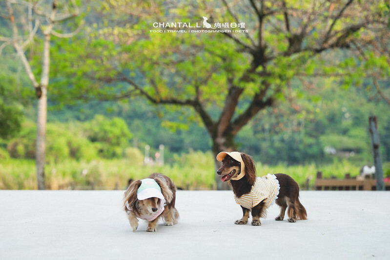 1J6A1184-2拷貝2 拷貝 1J6A1184-2拷貝2 拷貝