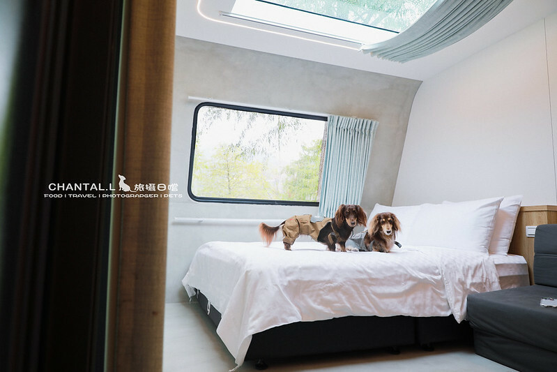 1J6A0860-2拷貝2 拷貝 1J6A0860-2拷貝2 拷貝