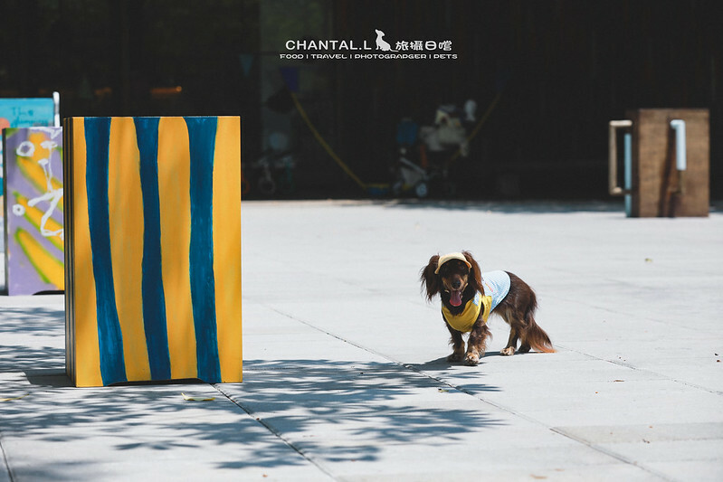 1J6A1461-2拷貝2 拷貝 1J6A1461-2拷貝2 拷貝