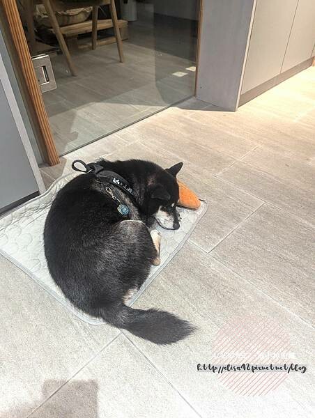 PXL_20240728_080253907_结果 PXL_20240728_080253907_结果