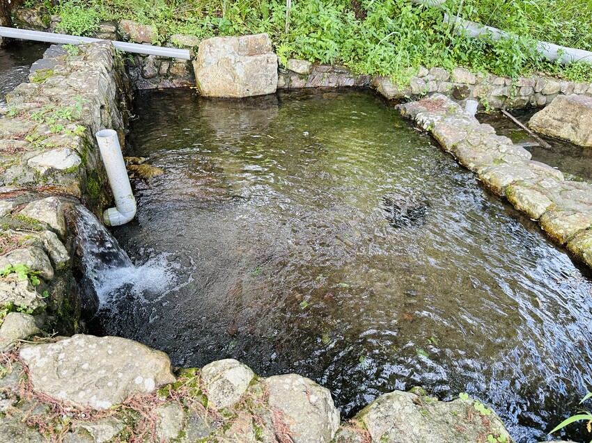 【鷗漫景觀農場露營區】宜蘭礁溪親子露營推薦!手作課程、生態導