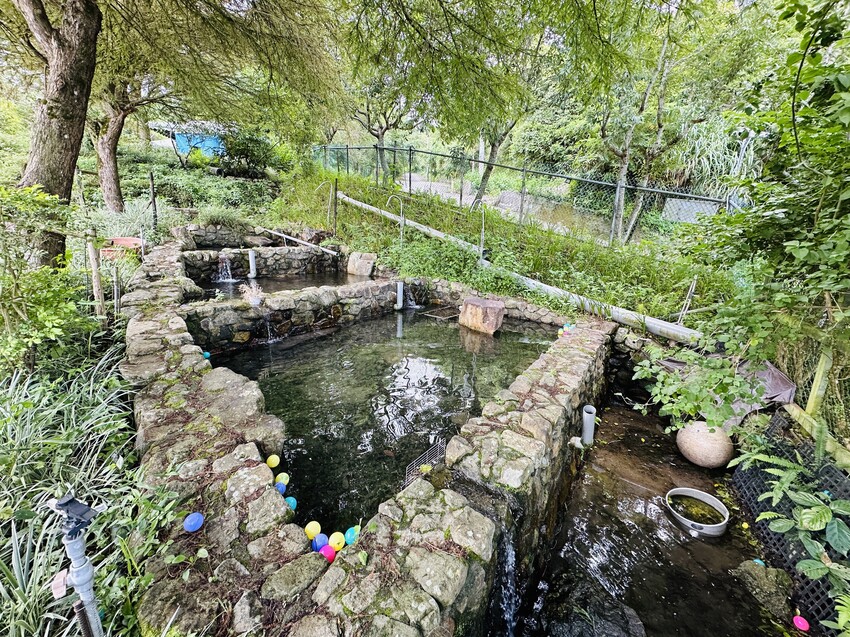 【鷗漫景觀農場露營區】宜蘭礁溪親子露營推薦!手作課程、生態導