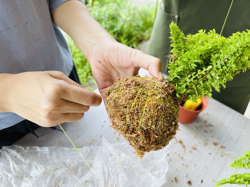 【鷗漫景觀農場露營區】宜蘭礁溪親子露營推薦!手作課程、生態導