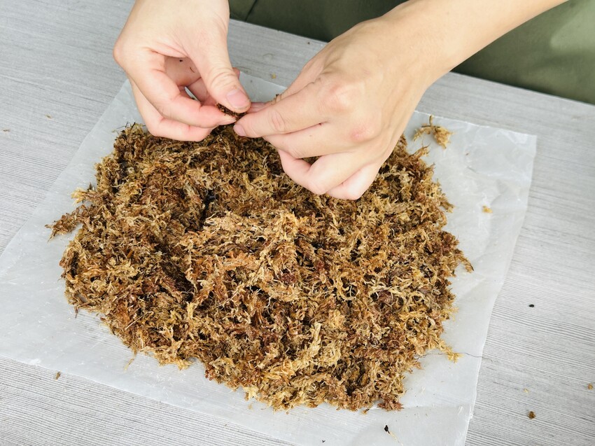 【鷗漫景觀農場露營區】宜蘭礁溪親子露營推薦!手作課程、生態導