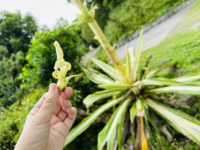 【鷗漫景觀農場露營區】宜蘭礁溪親子露營推薦!手作課程、生態導