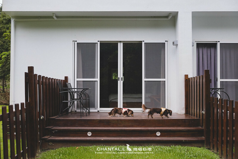 1J6A2080-2拷貝-2拷貝 拷貝