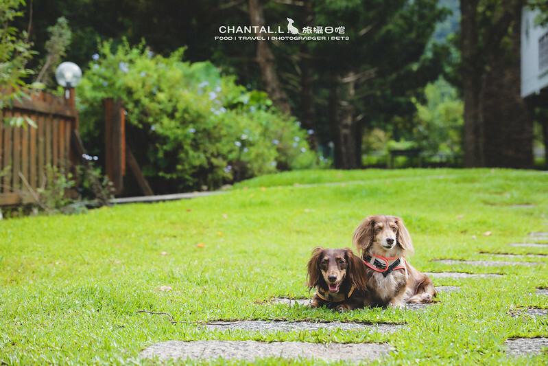 1J6A1993-2拷貝-2拷貝 拷貝