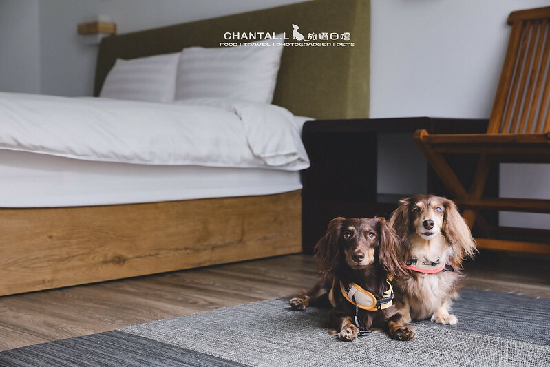 1J6A2015-2拷貝-2拷貝 拷貝