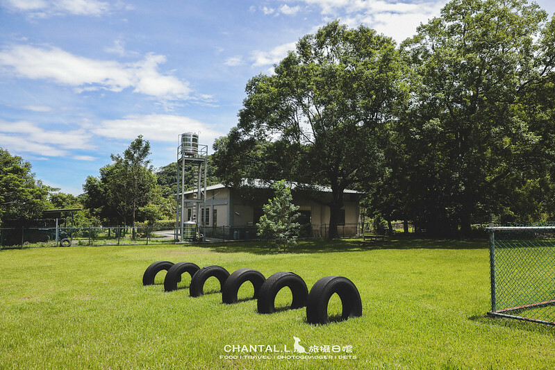 1J6A2229-2拷貝-2拷貝 拷貝