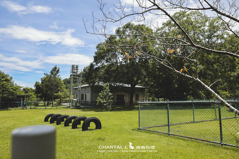 1J6A2228-2拷貝-2拷貝 拷貝