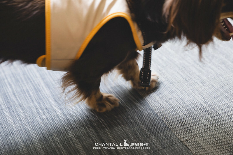 1J6A2049-2拷貝-2拷貝 拷貝