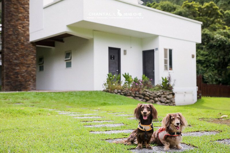 1J6A1998-2拷貝-2拷貝 拷貝