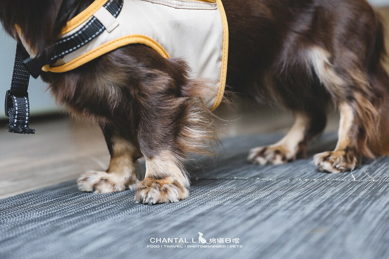 1J6A2055-2拷貝-2拷貝 拷貝