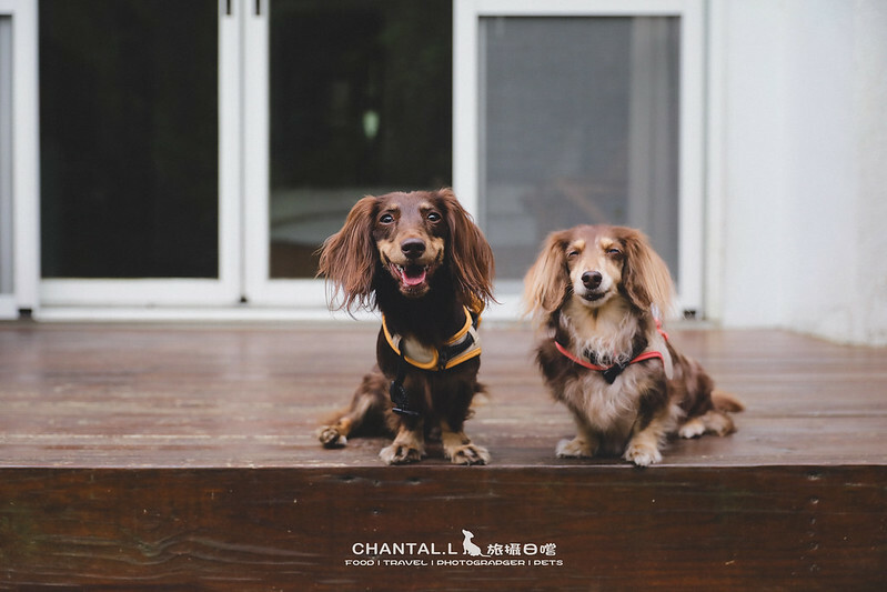 1J6A2093-2拷貝-2拷貝 拷貝