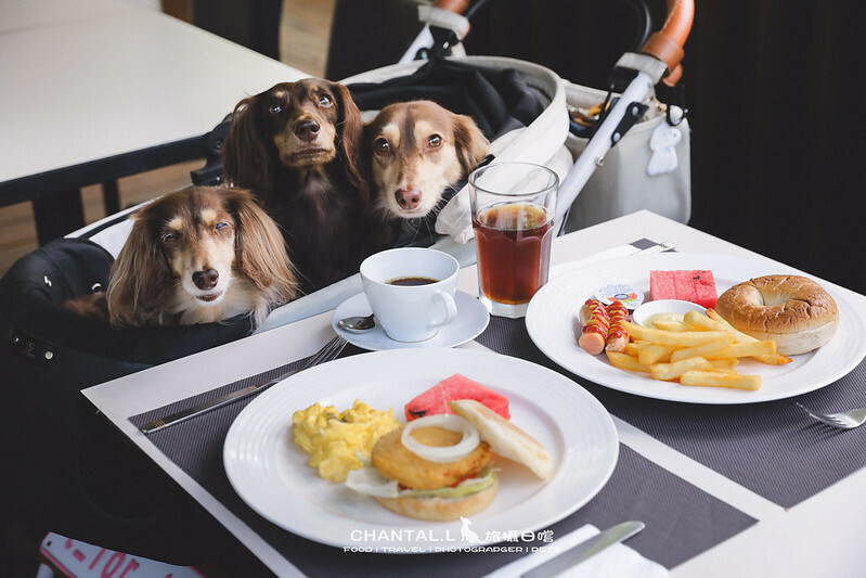 1J6A2153-2拷貝-2拷貝 拷貝