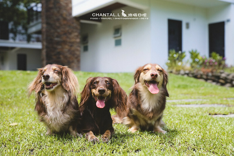 1J6A2198-2拷貝-2拷貝 拷貝