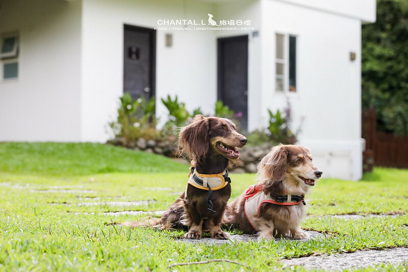 1J6A2004-2拷貝-2拷貝 拷貝