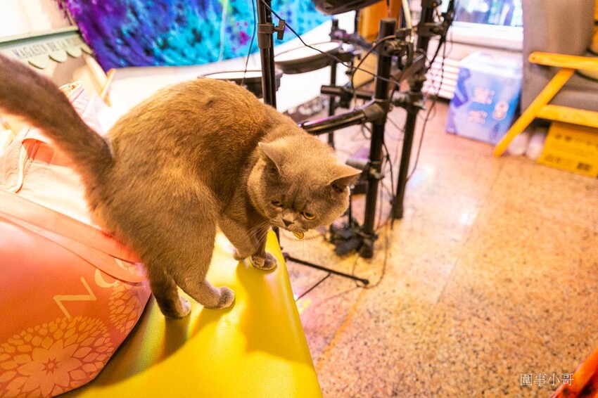 中壢中原美食推薦-阿杜。原泰餐酒館,中原大學商圈最推薦的無菜單料理餐酒館。 @圍事小哥的幸福相框