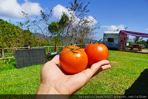 {苗栗住宿}露營營區推薦：南山傳奇露營區(自搭帳.露營車.狩