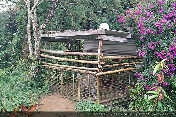 {苗栗住宿}苗栗南庄 南山傳奇(自搭帳/露營車)