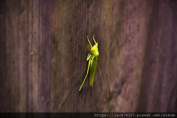 {苗栗住宿}露營營區推薦：南山傳奇露營區(自搭帳.露營車.狩