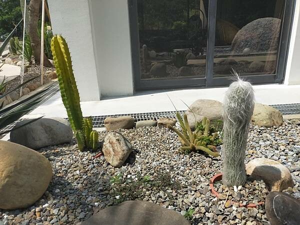 苗栗公館MODA & the MOON Cafe 碩玥咖啡廳