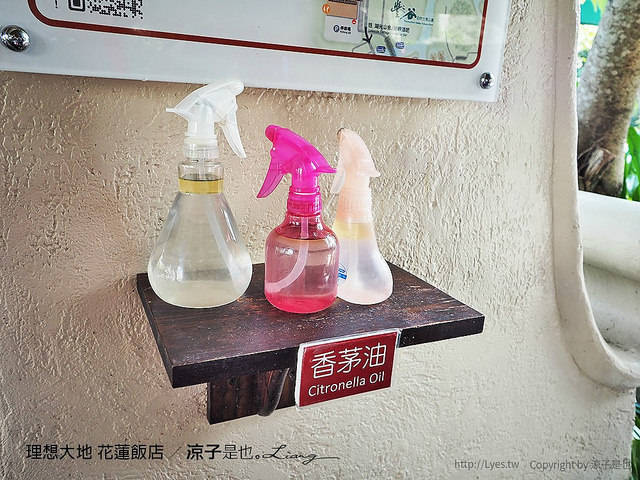 理想大地 花蓮飯店 26