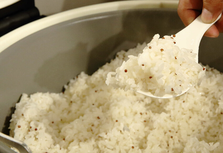 台北錦州街美食推薦！有小癮鮮果釀酸菜魚錦州店，7種口味最低只