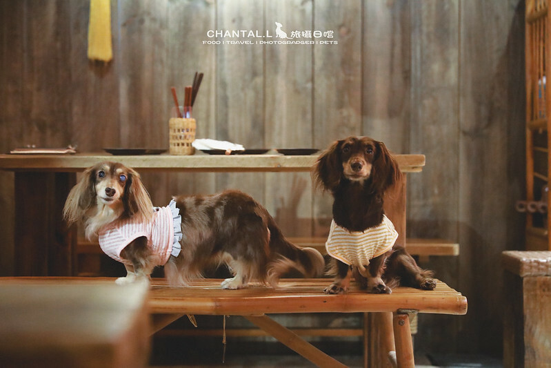 1J6A8671-2拷貝 拷貝