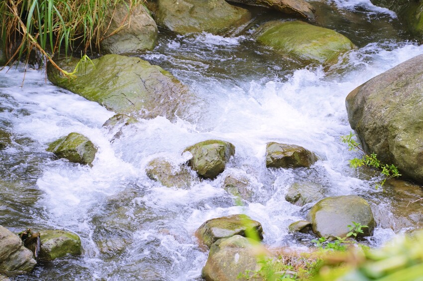 苗栗縣泰安鄉苗栗泰安旅遊 土牧驛健康農莊 帳篷紮營 懶人露營任你選 可親近自然 多元設施的露營園區