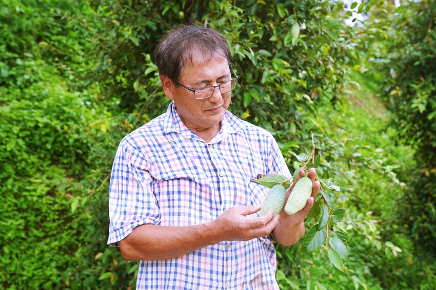 苗栗縣泰安鄉苗栗泰安旅遊 土牧驛健康農莊 帳篷紮營 懶人露營任你選 可親近自然 多元設施的露營園區